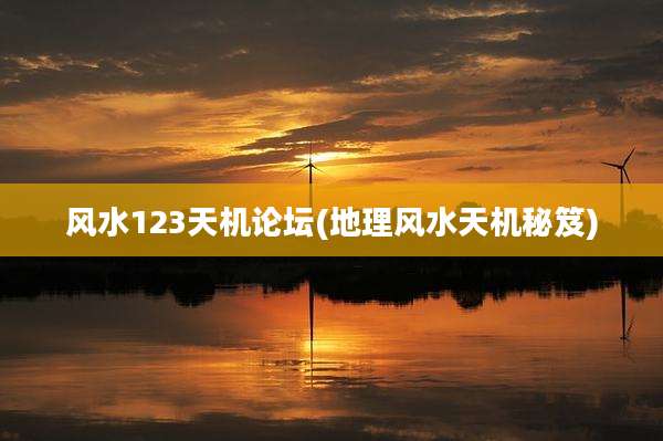 风水123天机论坛(地理风水天机秘笈)