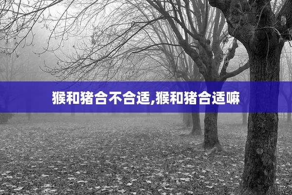 猴和猪合不合适,猴和猪合适嘛