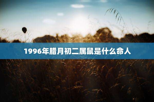 1996年腊月初二属鼠是什么命人