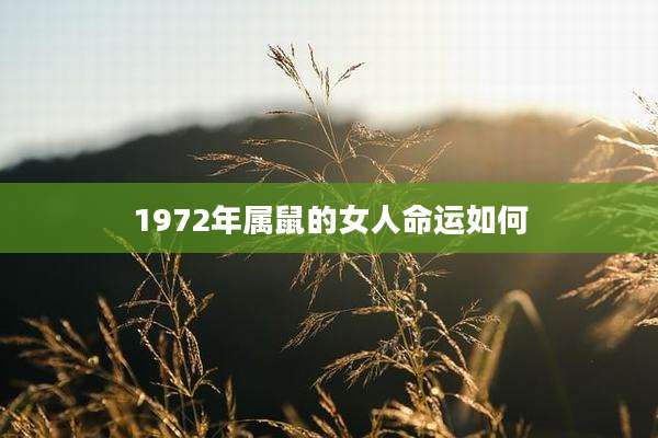 1972年属鼠的女人命运如何