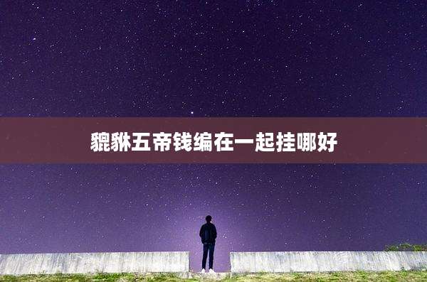 貔貅五帝钱编在一起挂哪好