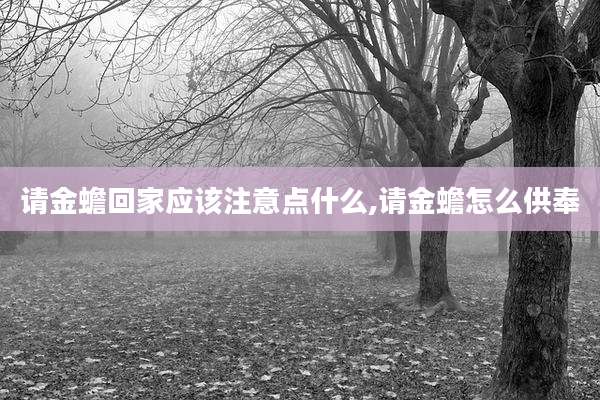 请金蟾回家应该注意点什么,请金蟾怎么供奉
