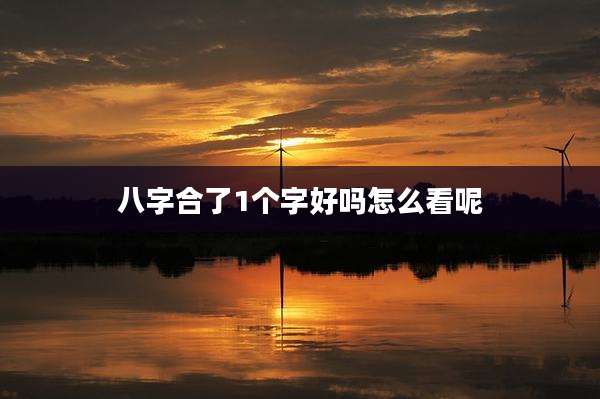 八字合了1个字好吗怎么看呢