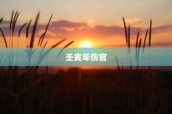 壬寅年伤官