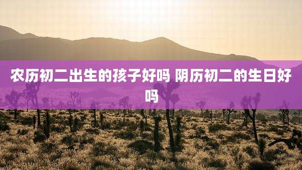 农历初二出生的孩子好吗 阴历初二的生日好吗