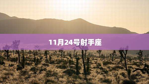 11月24号射手座