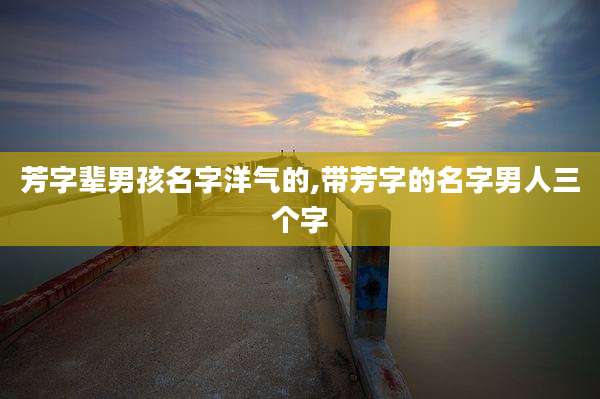 芳字辈男孩名字洋气的,带芳字的名字男人三个字