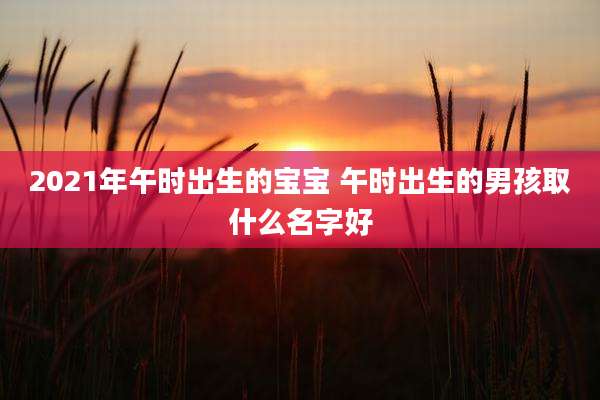 2021年午时出生的宝宝 午时出生的男孩取什么名字好