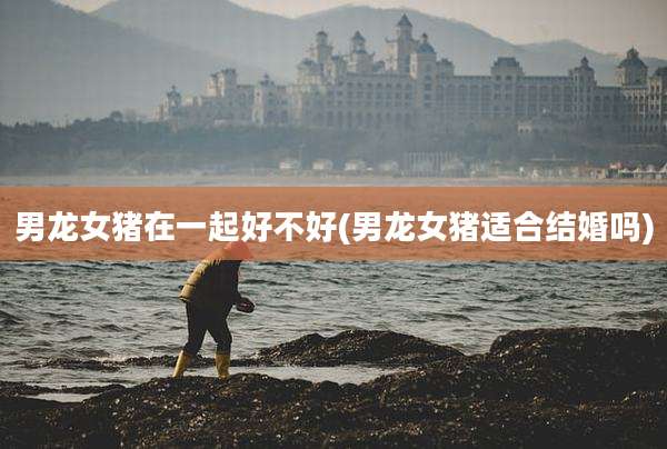 男龙女猪在一起好不好(男龙女猪适合结婚吗)