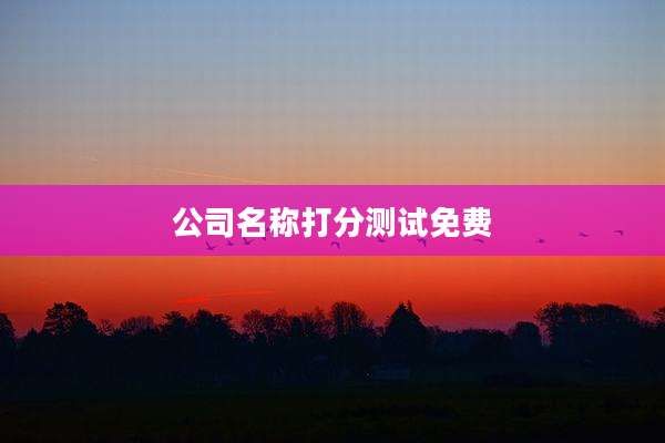 公司名称打分测试免费