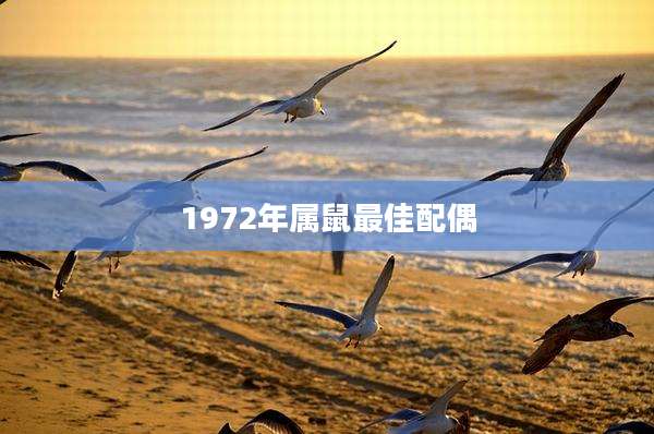 1972年属鼠最佳配偶