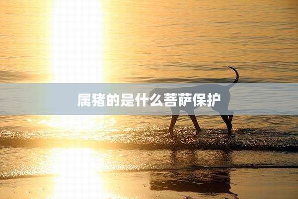 属猪的是什么菩萨保护