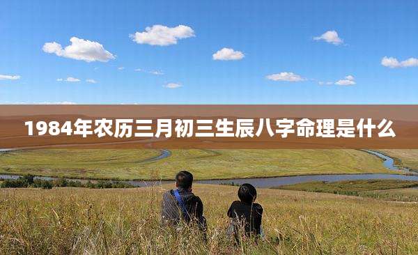 1984年农历三月初三生辰八字命理是什么