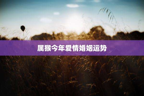 属猴今年爱情婚姻运势