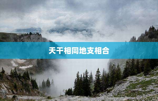 天干相同地支相合