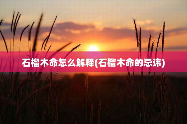 石榴木命怎么解释(石榴木命的忌讳)
