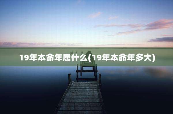 19年本命年属什么(19年本命年多大)