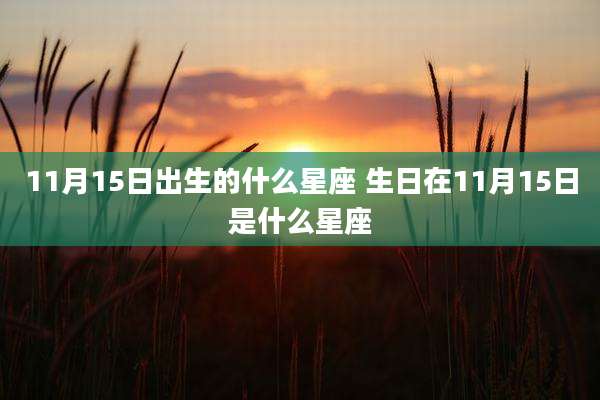 11月15日出生的什么星座 生日在11月15日是什么星座
