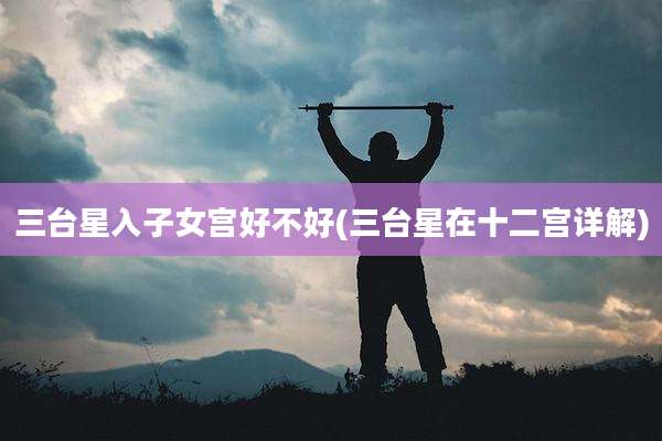 三台星入子女宫好不好(三台星在十二宫详解)