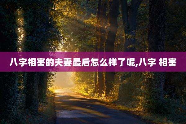 八字相害的夫妻最后怎么样了呢,八字 相害