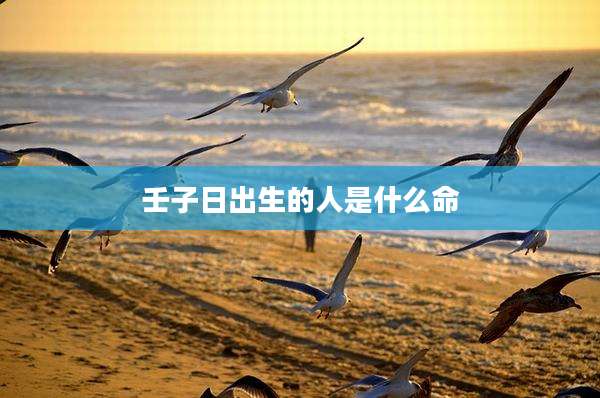 壬子日出生的人是什么命