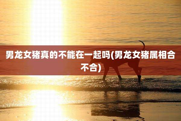 男龙女猪真的不能在一起吗(男龙女猪属相合不合)
