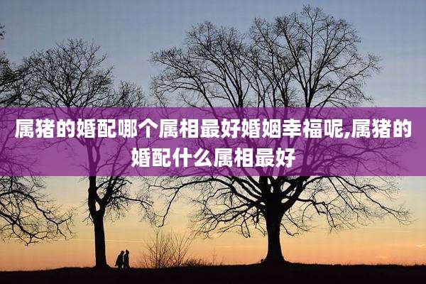属猪的婚配哪个属相最好婚姻幸福呢,属猪的婚配什么属相最好