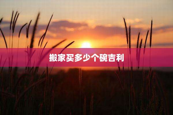 搬家买多少个碗吉利