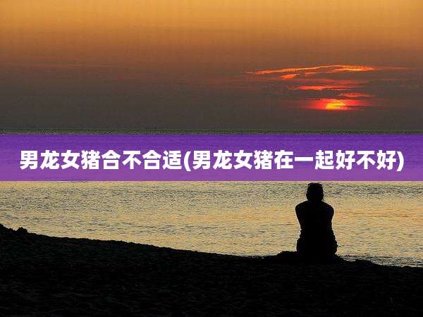 男龙女猪合不合适(男龙女猪在一起好不好)