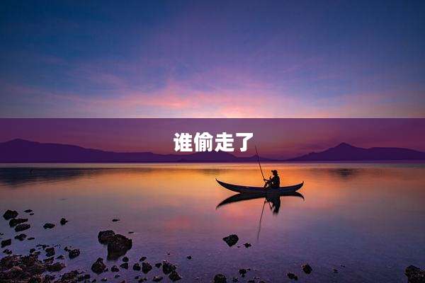 谁偷走了