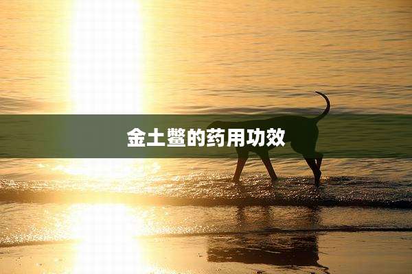 金土鳖的药用功效