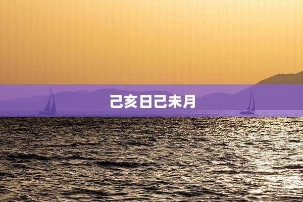 己亥日己未月