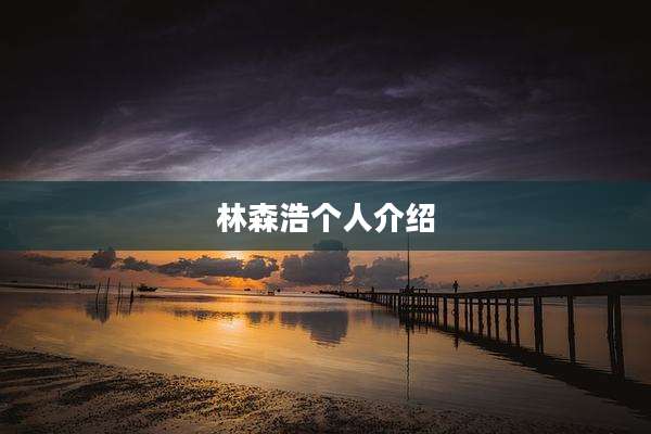 林森浩个人介绍