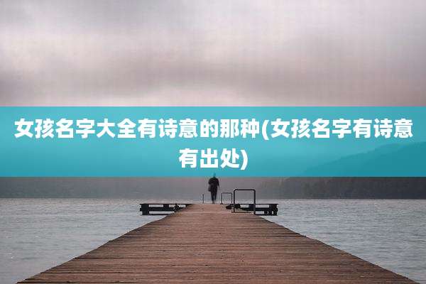 女孩名字大全有诗意的那种(女孩名字有诗意有出处)