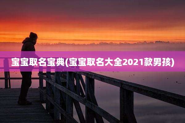 宝宝取名宝典(宝宝取名大全2021款男孩)