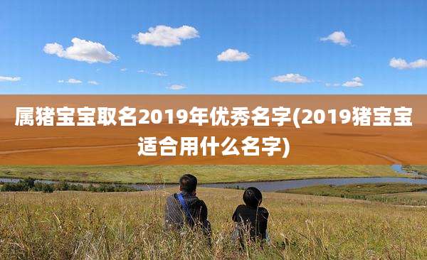 属猪宝宝取名2019年优秀名字(2019猪宝宝适合用什么名字)