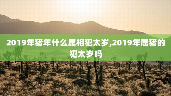 2019年猪年什么属相犯太岁,2019年属猪的犯太岁吗