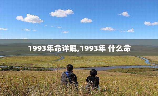 1993年命详解,1993年 什么命