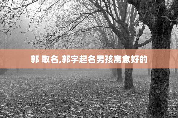 郭 取名,郭字起名男孩寓意好的