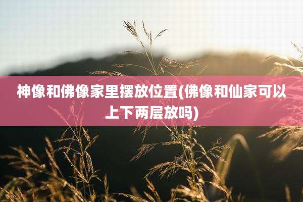 神像和佛像家里摆放位置(佛像和仙家可以上下两层放吗)