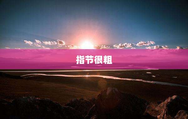 指节很粗