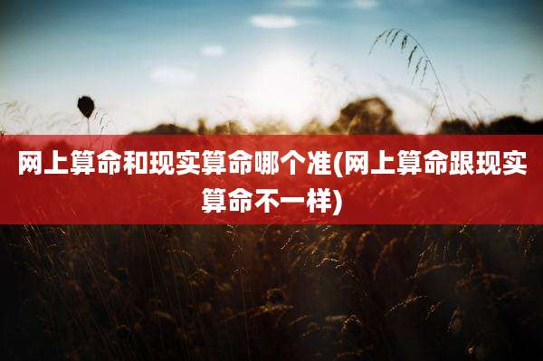 网上算命和现实算命哪个准(网上算命跟现实算命不一样)