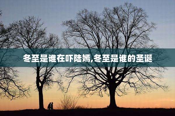 冬至是谁在吓陆嫣,冬至是谁的圣诞