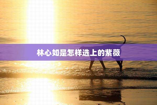 林心如是怎样选上的紫薇