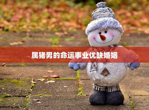 属猪男的命运事业优缺婚姻