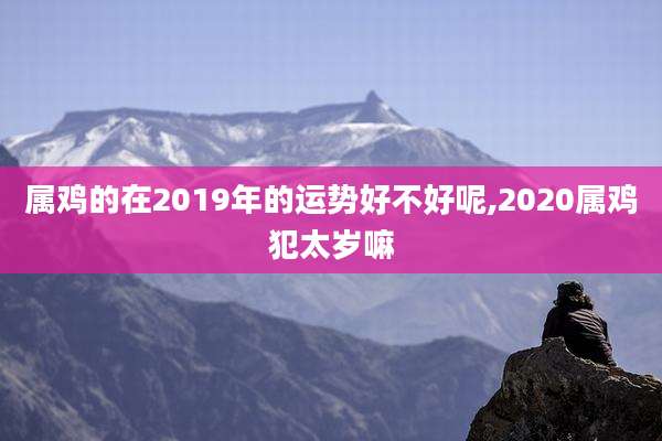 属鸡的在2019年的运势好不好呢,2020属鸡犯太岁嘛