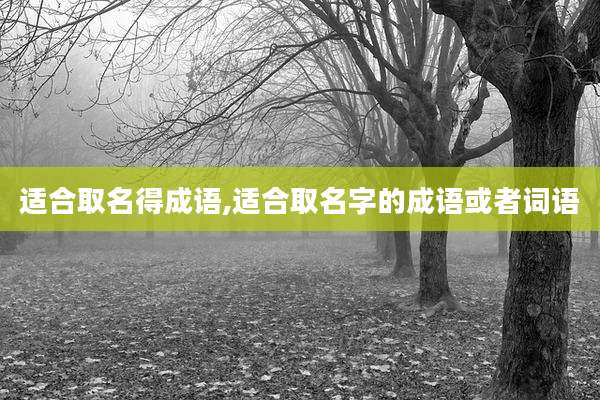适合取名得成语,适合取名字的成语或者词语
