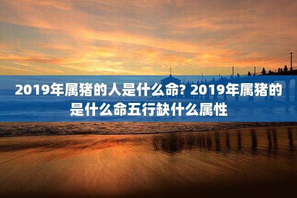 2019年属猪的人是什么命? 2019年属猪的是什么命五行缺什么属性