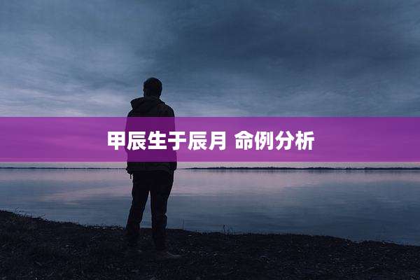 甲辰生于辰月 命例分析