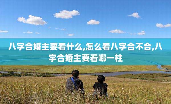 八字合婚主要看什么,怎么看八字合不合,八字合婚主要看哪一柱